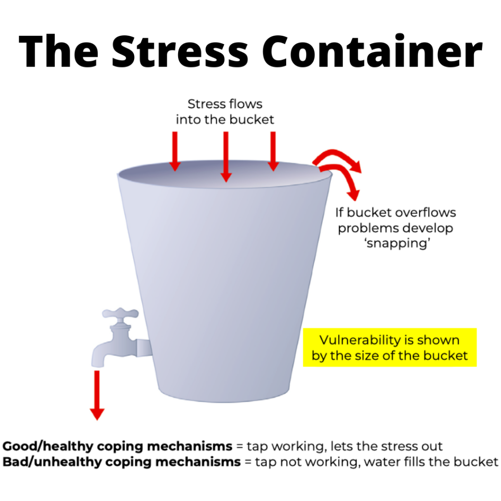 CM Learning | The Stress Container
